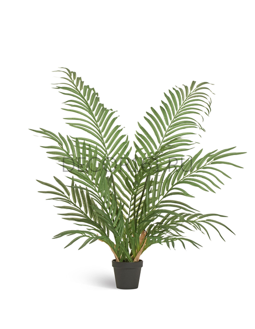 Пальма Арека Форест 90 см (12 веток) 2/2 10.011380N