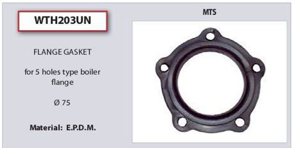 Фланцевая прокладка для водонагревателя Ariston (Аристон) 571312