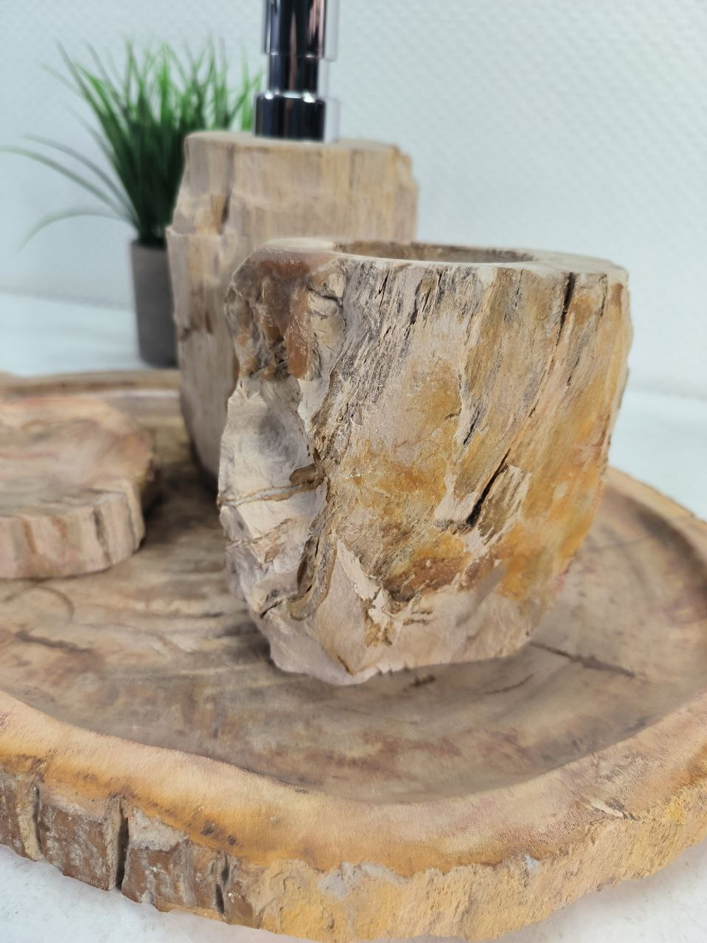 Набор из окаменелого дерева 4 предм Fossil Set NF-63062 поднос 29см*43см