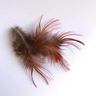 Перья красного фазана 10-12 см. 10 шт. 2 сорт