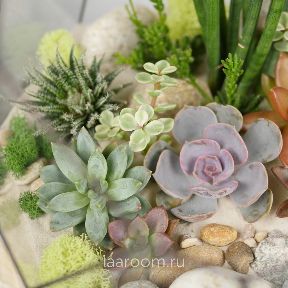 Флорариум с суккулентами Марс с озером
