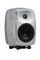 Genelec G Four ARwM