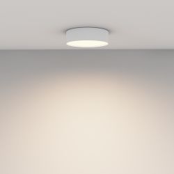 Светильник потолочный светодиодный Maytoni Zon C032CL-24W3K-RD-W