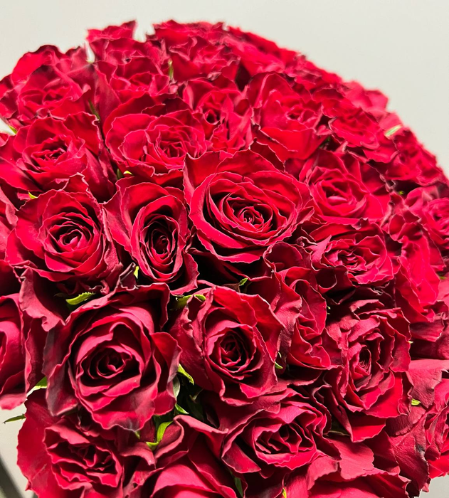 Букет из 51 розы Мадам Рэд (40см)