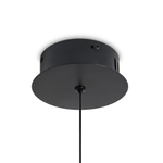 Подвесной светодиодный светильник Freya Harper FR5545PL-L5BG