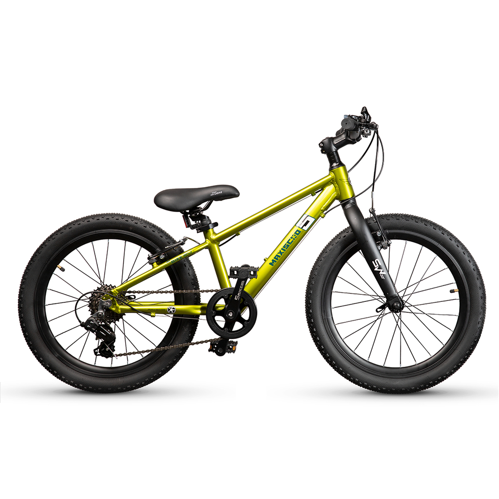 Велосипед 20'' Maxiscoo 5BIKE  M Фреш Лайм (2024)