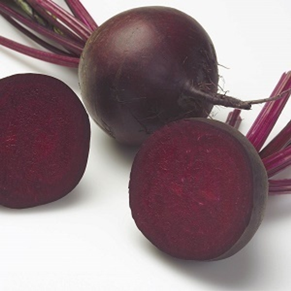 Свекла столовая Нобол