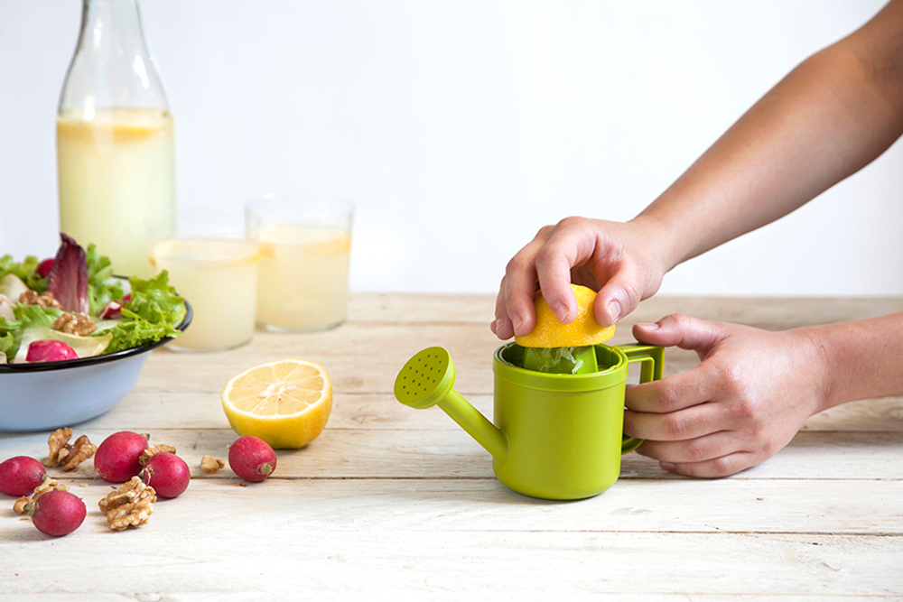 Соковыжималка для лимонов lemoniere