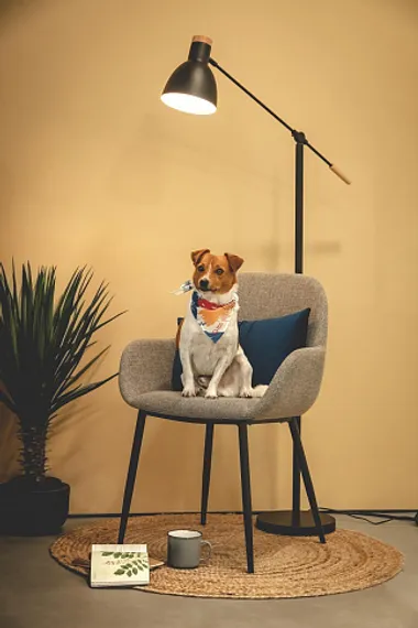 Стул Konna серая ткань | Купить в Hallberg.ru