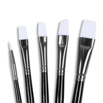 Angelus набор кистей Brush set of Five 799-5-100