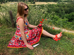 🏆Два Кухонных ножа Alexander M AUS-8 Red G10