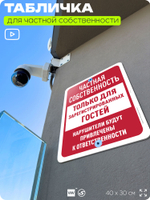 Табличка для частной территории "Частная собственность, только для зарегистрированных гостей", на дом, для участка, организаций, предупреждающая, 40х30 см, Silver Plane x Айдентика Технолоджи