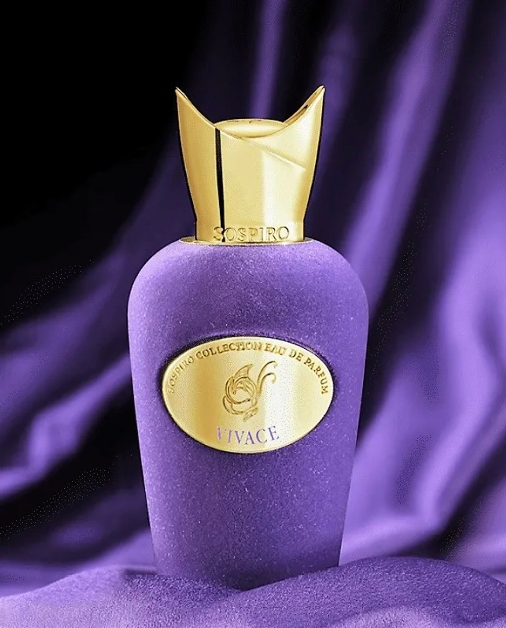 Vivace perfume outlet