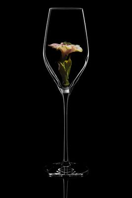 Бокал для шампанского Флюте. / Альстромерия. Роспись.