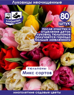 Тюльпан Луковицы неочищенные, Микс сортов, 80+шт