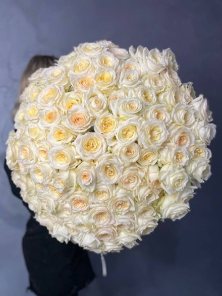 101 роза Candlelight Пионовидная Премиум