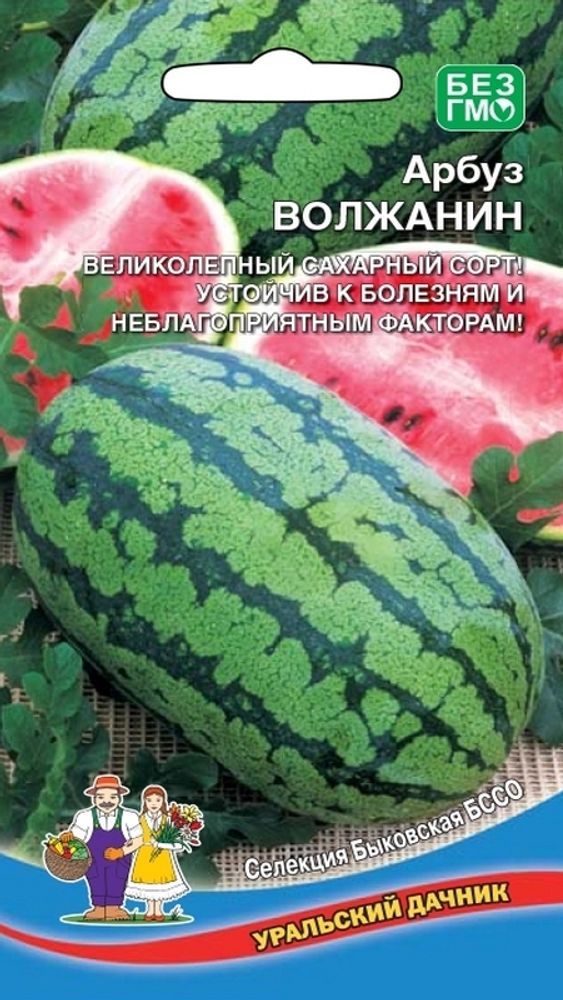 Арбуз "G. Волжанин" 10шт., Россия. Арбуз "G. Волжанин" 10шт., Россия.