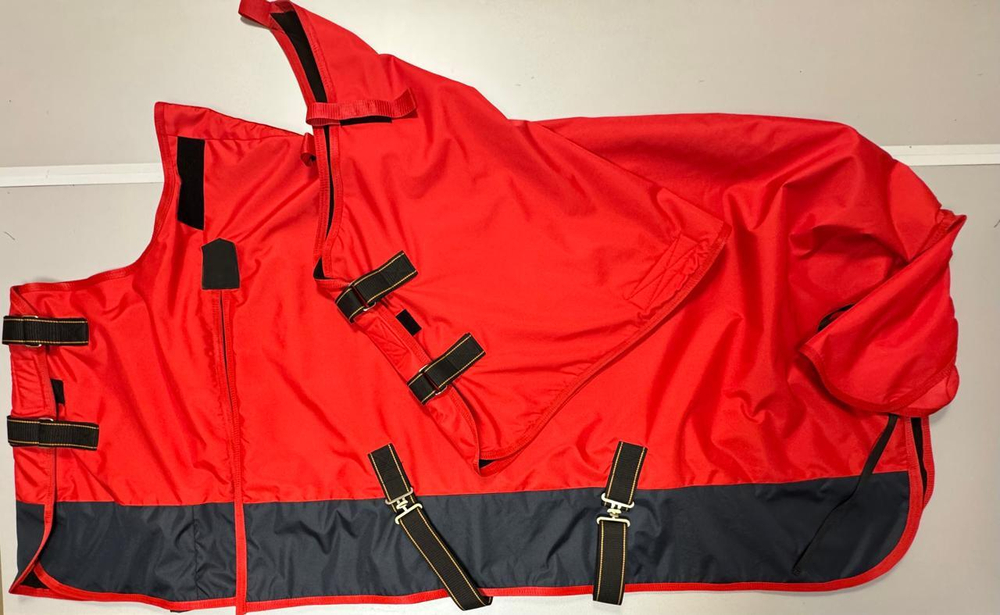 Одежда для конного спорта