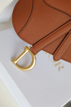 Christian Dior Saddle Bag 21 cm