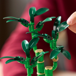 LEGO Botanicals - Драцена сандера 10344