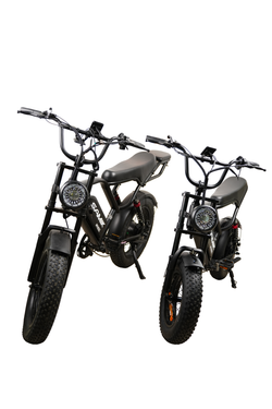 Электровелосипед SAMIK BK 20 MINI