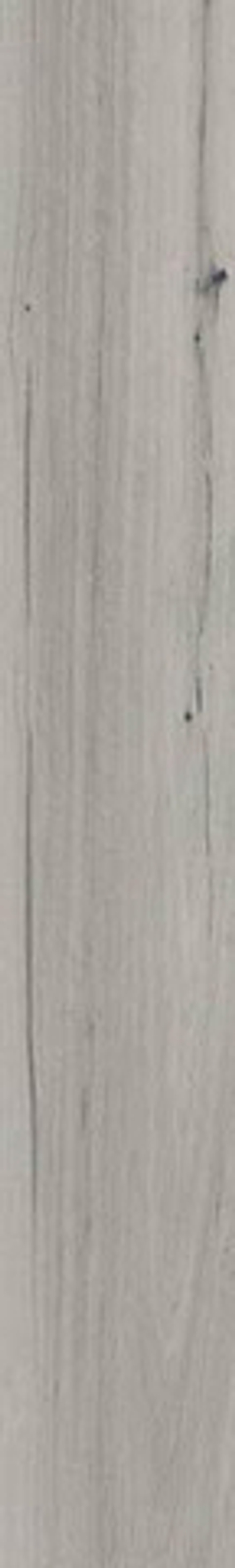 Керамогранит FOREST GRIS