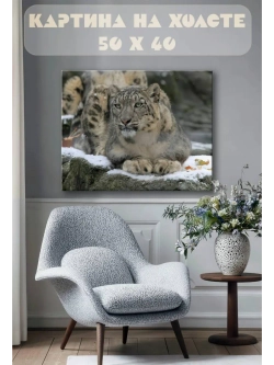 Картина на стену 40 X 50 Снежный барс