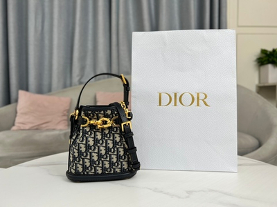 Christian Dior Small C'est Dior Bag