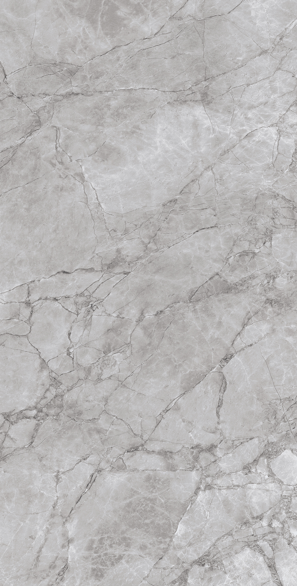 Керамогранит, Arcadia Ceramica, ARCTIC GREY, 1200x600 мм, карвинг