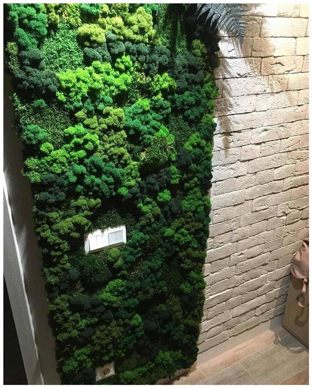 Комбинированное панно из мха