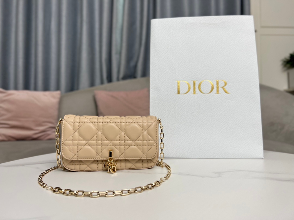Christian Dior Bag 18 cm