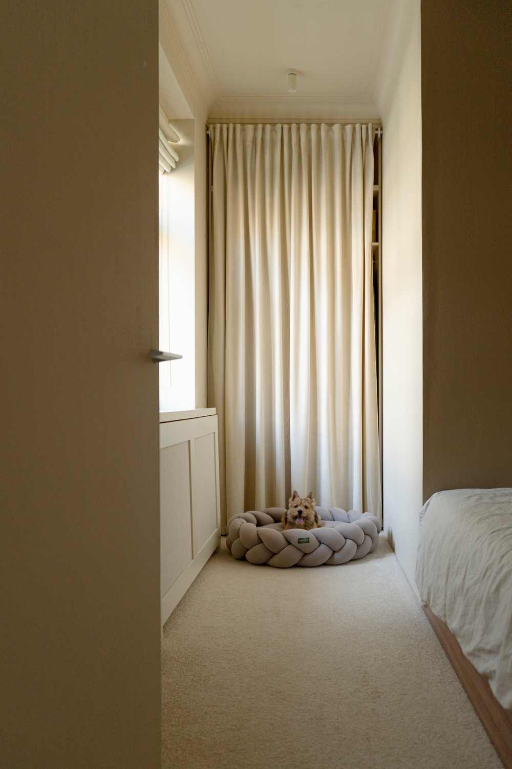 Лежанка "Пони-Колосони" Бежевая