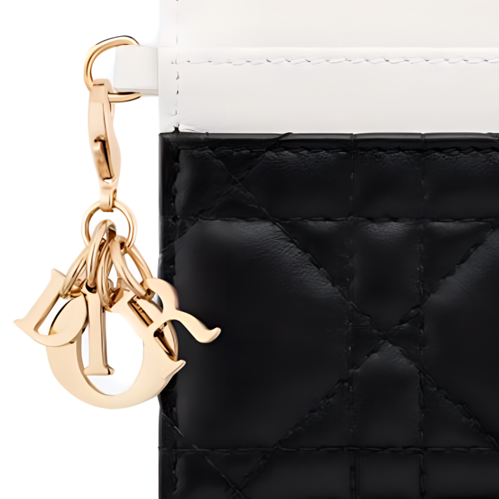 Картхолдеры и кошельки DIOR, S0974ONIW-M941