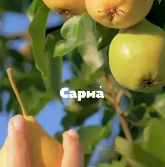 САРМА - Дачная груша (100г)