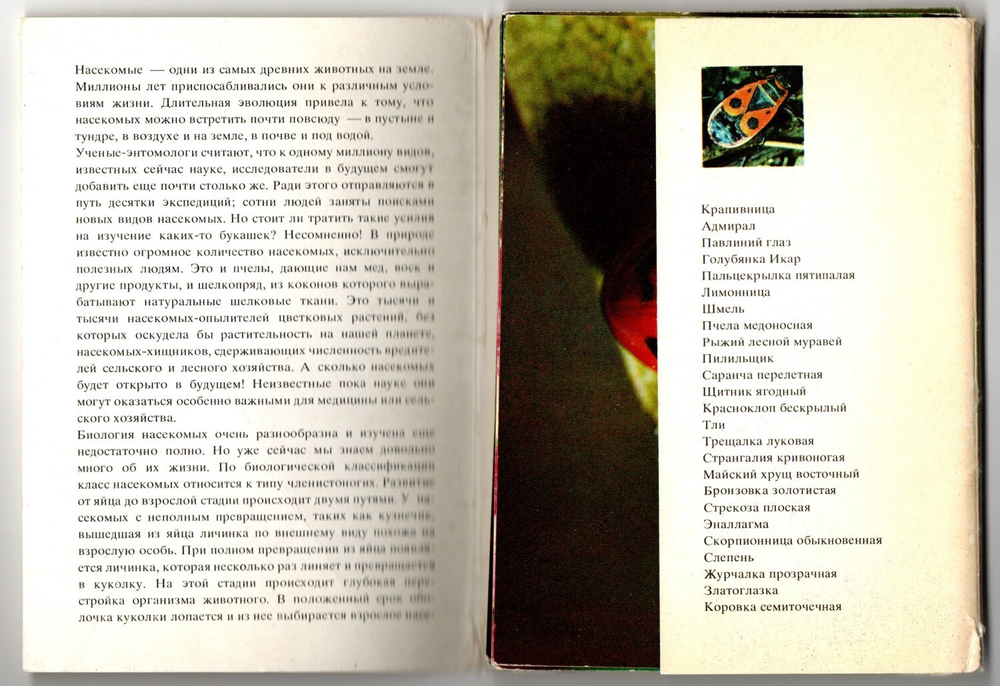 Наборы из 38 открыток СССР "Насекомые" и "Малышам о малышах" со стихами В. Кожевникова и рисунками Л. Гамбургера