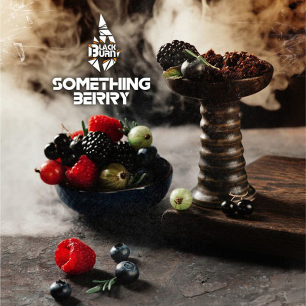 Black Burn Something Berry (Ягодный микс) 25 гр.