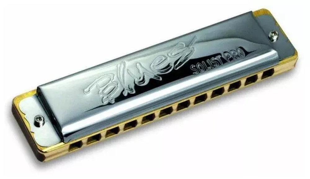 Seydel Sohne 11602C Solist Pro 12 Steel C Губная гармошка. Количество отверстий: 12. Количество язычков: 24, сталь. Крышки корпуса: нержавеющая сталь. Корпус: клен.