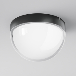 Уличный потолочный светильник Outdoor O438CL-L12GF3K