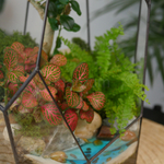 Готовый флорариум бонсай Лигуструм Скала с озером