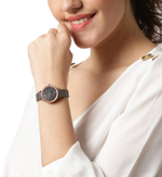 Женские наручные часы Skagen SKW2909