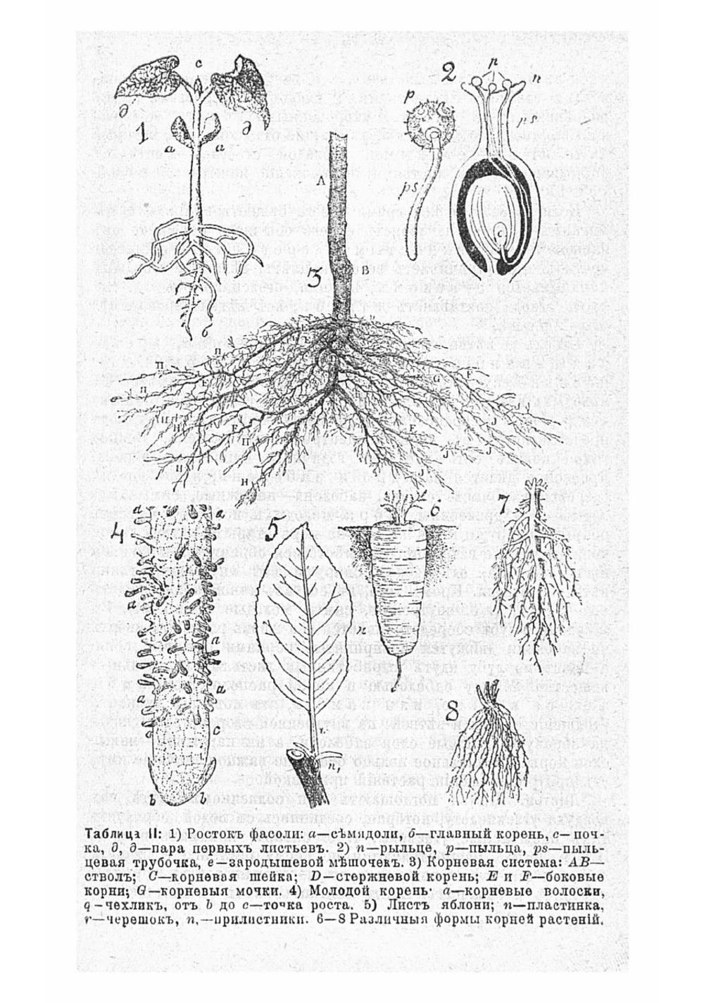 Справочная садовая энциклопедия. Пособие для любителей садоводства, плодоводства, огородничества и комнатных культурных растений | Штейнберг Павел Николаевич