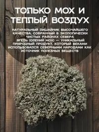 Ягель олений мох (кладония)