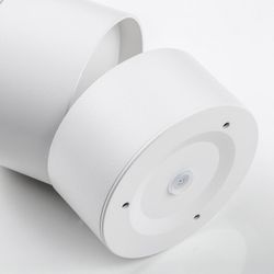 Накладной светильник Lightstar Acuto 215886