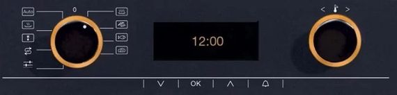 Пароварка Miele DG 5061 Brilliance