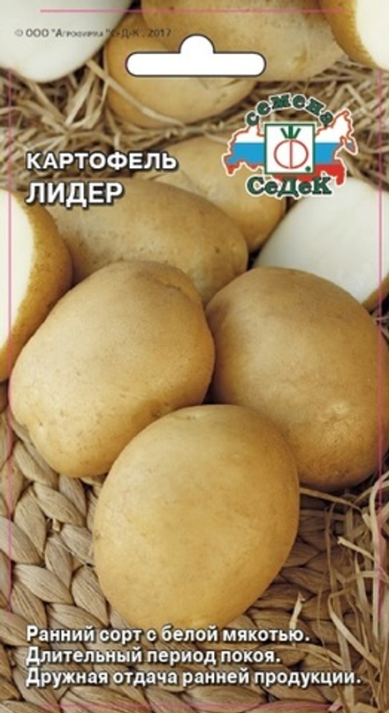 картофель Лидер