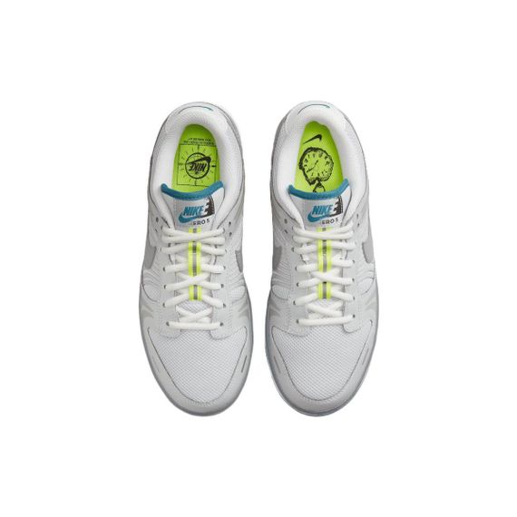 Кроссовки NIKE Dunk для скейтборда Низкие Женские