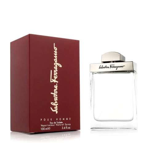 Мужская парфюмерия Salvatore Ferragamo EDT Pour Homme 100 мл