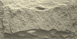 MUSHROOM STONE