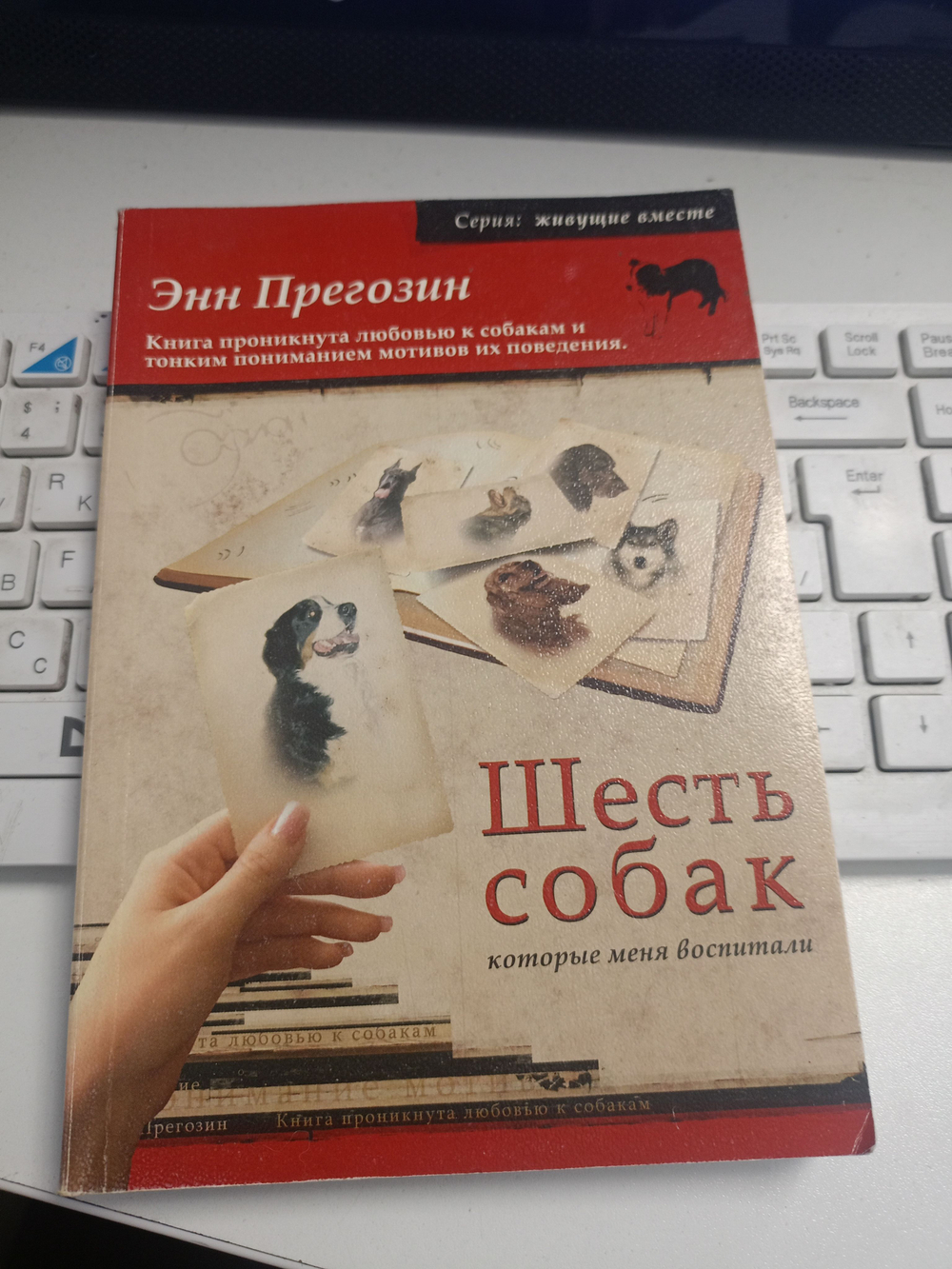 Шесть собак, которые меня воспитали.
