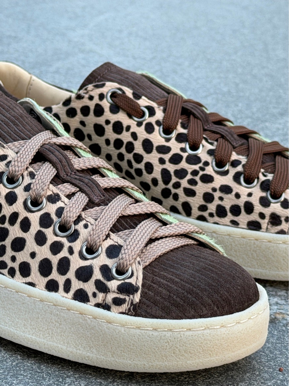 C3 Apple Dots